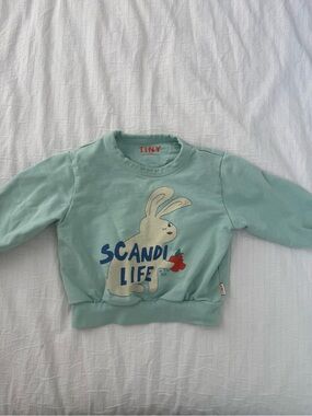 Tiny Scandi Life Bunny Sweatshirt - Mint